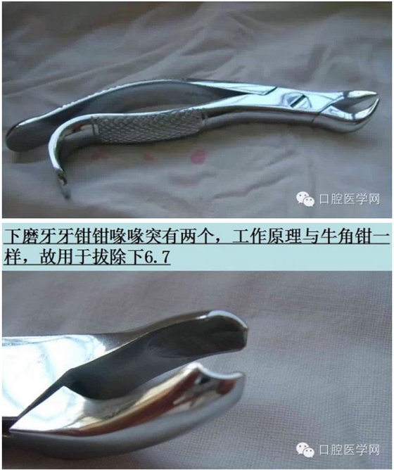 鉗子、挺子、錘子......口外基礎(chǔ)知識匯總