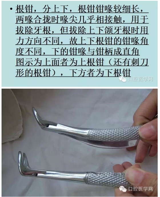 鉗子、挺子、錘子......口外基礎(chǔ)知識匯總