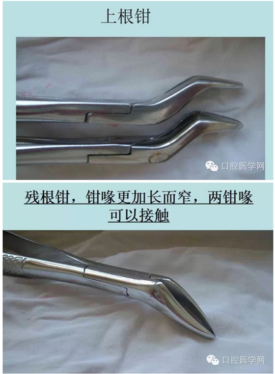 鉗子、挺子、錘子......口外基礎(chǔ)知識匯總