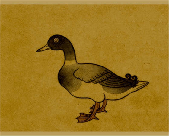 53.gif