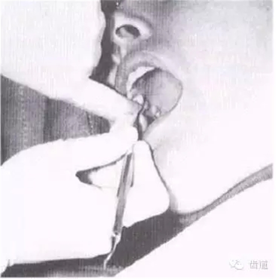 640 (1).webp (37).jpg