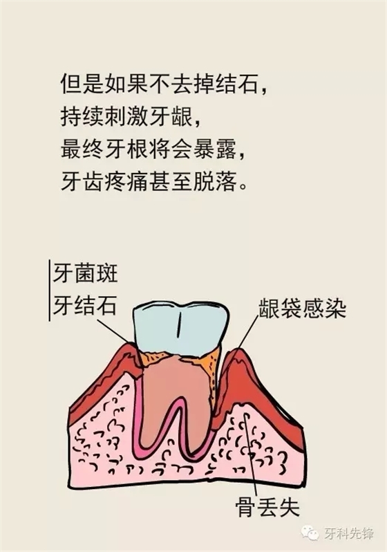 640.webp (7).jpg