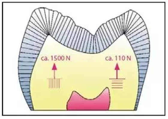 640.webp (8).jpg 640.webp (8).jpg