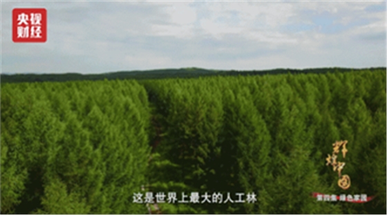 小崔的曝光讓人震驚？然而今天，這些人才是值得去曝的！