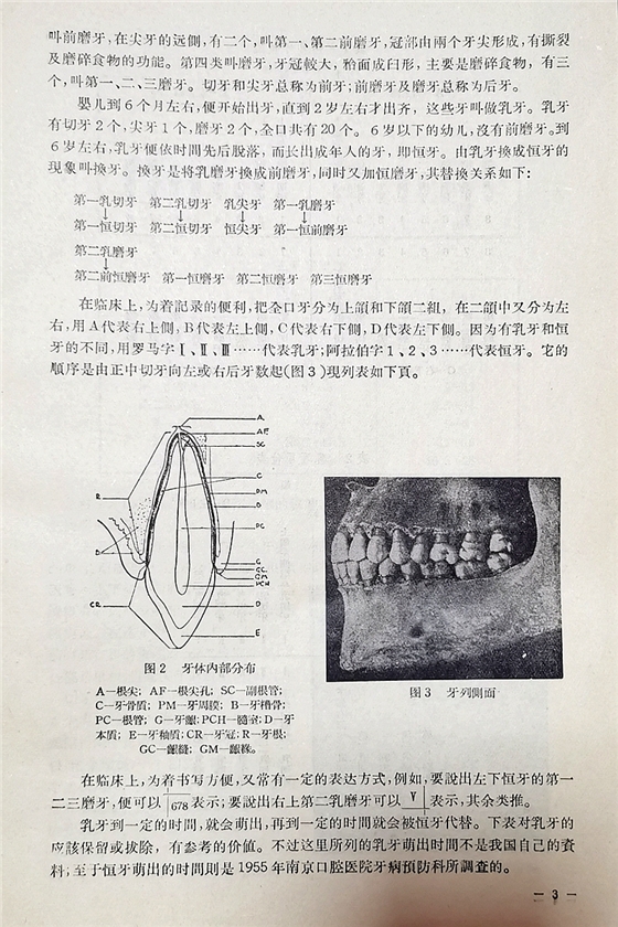 《實(shí)用拔牙學(xué)》一級(jí)教授陳華主編