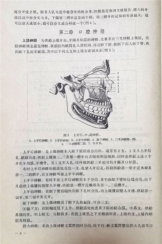 《實(shí)用拔牙學(xué)》一級(jí)教授陳華主編