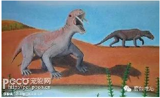 走進牙齒的故事，訴說千年的演變