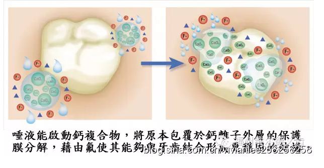 QQ圖片20150725100104.png QQ圖片20150725100104.png