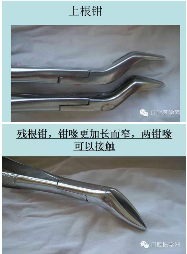 鉗子、挺子、錘子......口外基礎(chǔ)知識(shí)匯總