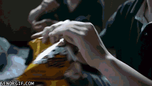 5.gif