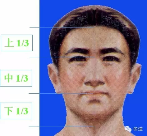 牙醫(yī)基礎知識：口腔頜面部應用解剖生理