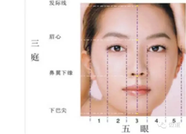 牙醫(yī)基礎知識：口腔頜面部應用解剖生理