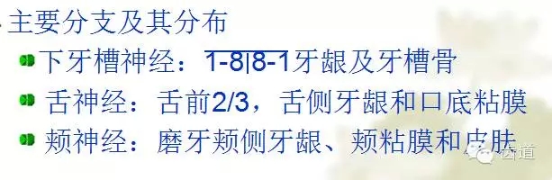 牙醫(yī)基礎知識：口腔頜面部應用解剖生理