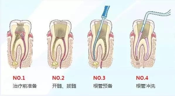 640.webp (3).jpg