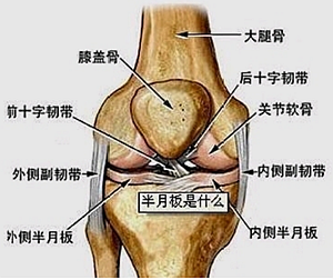 膝關(guān)節(jié)痛要注意什么