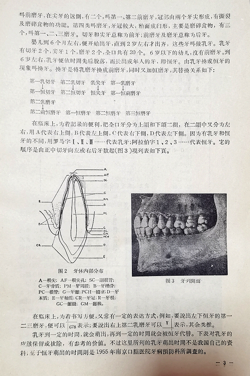 《實用拔牙學》一級教授陳華主編