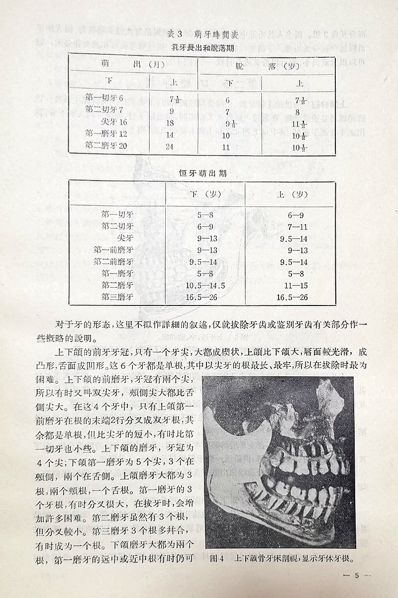 《實用拔牙學》一級教授陳華主編